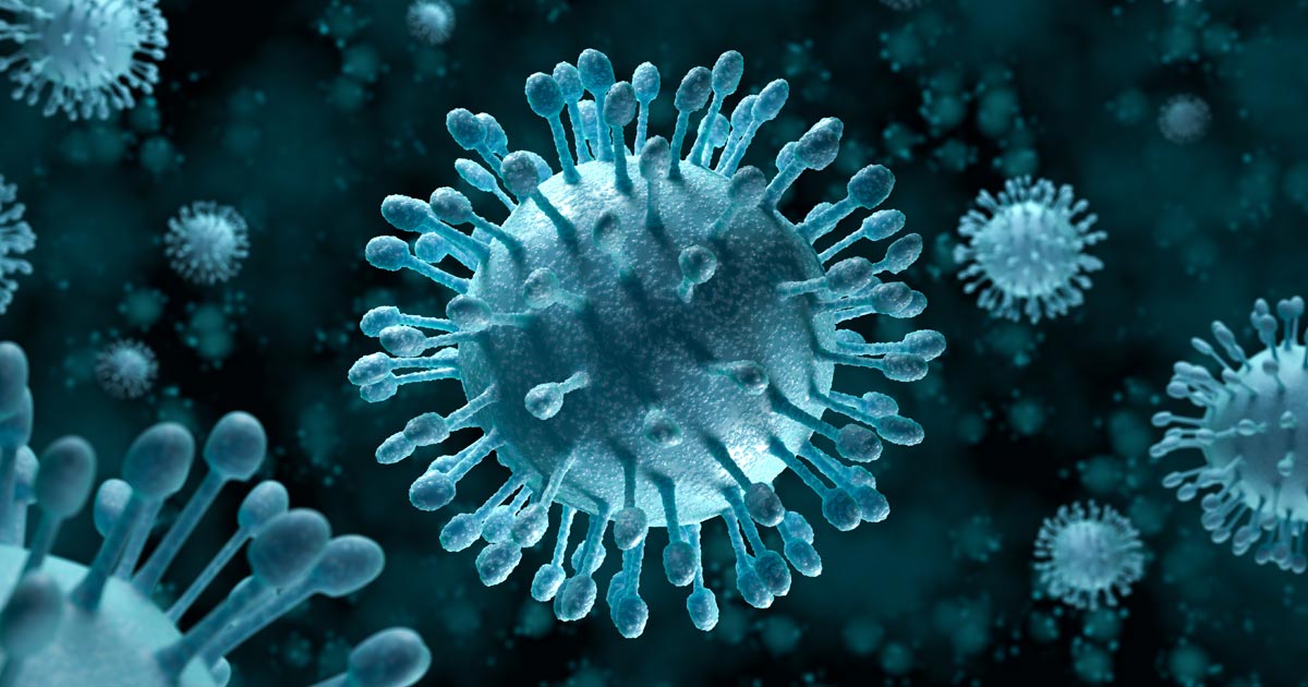 丙型肝炎病毒细胞